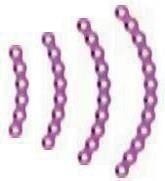 Дугова пластина, ЕЙЧ БІ ОРТО